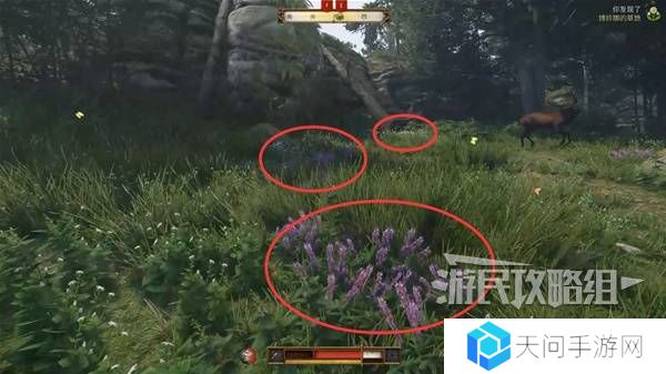 天国拯救2图文攻略大全   所有任务全流程攻略总汇图片29