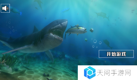 有趣的打鲨鱼游戏大全 2025好玩的打鲨鱼游戏盘点