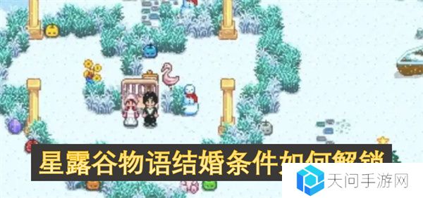 星露谷物语结婚条件如何解锁
