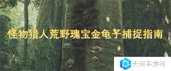 怪物猎人荒野瑰宝金龟子捕捉指南