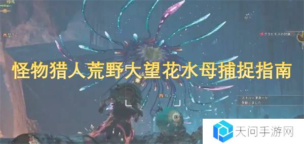 怪物猎人荒野大望花水母捕捉指南