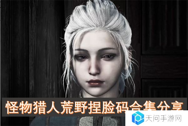 怪物猎人荒野捏脸码合集分享