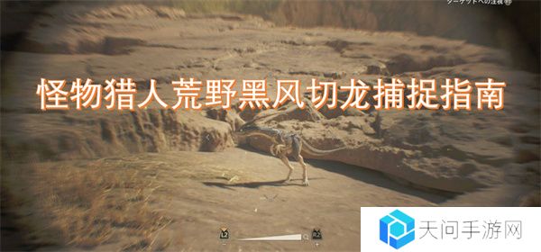 怪物猎人荒野黑风切龙捕捉指南