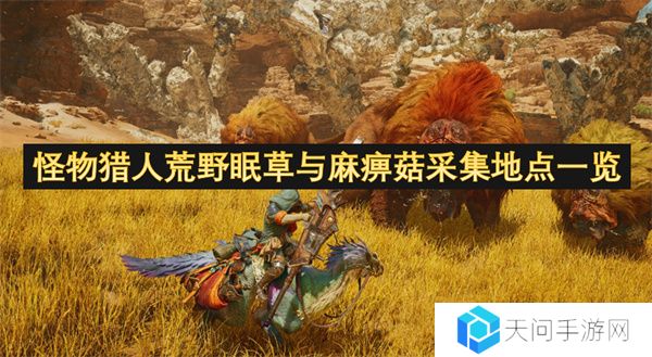 怪物猎人荒野眠草与麻痹菇采集地点一览