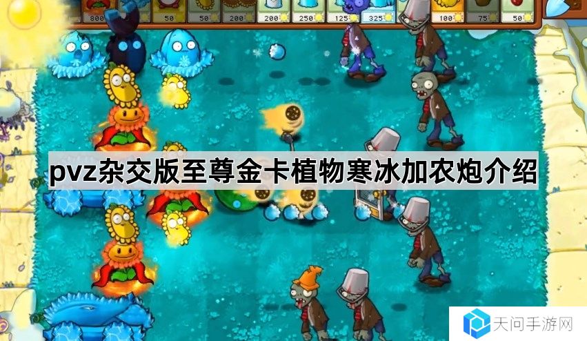 植物大战僵尸杂交版至尊金卡植物寒冰加农炮怎么样-pvz杂交版至尊金卡植物寒冰加农炮介绍