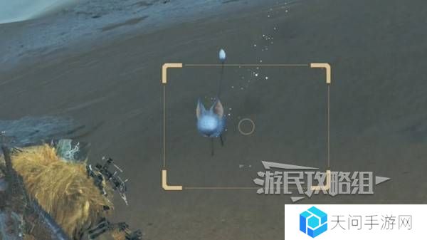 怪物猎人荒野沙野流星位置在哪   沙野流星位置