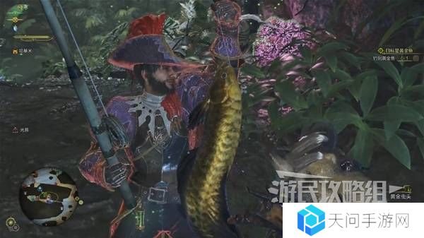 怪物猎人荒野黄金鱼怎么钓    钓黄金鱼位置一览图片6