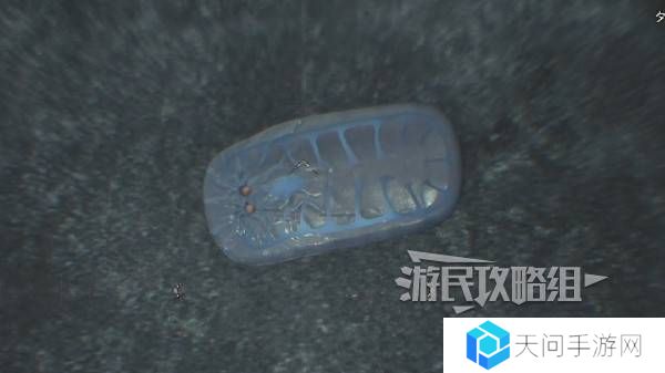 怪物猎人荒野大虚无动在哪捕获    大虚无动捕获攻略图片8