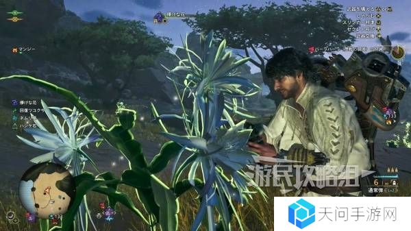 怪物猎人荒野一夜花的月华粉位置及获取途径一览