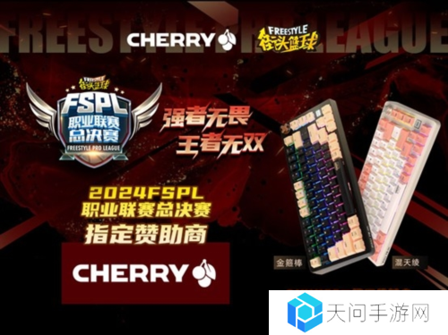 王者无双 CHERRY赞助2024FSPL职业联赛总决赛
