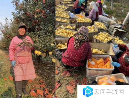 《荒野迷城》助农行动玩游戏做公益 千箱爱心免费领